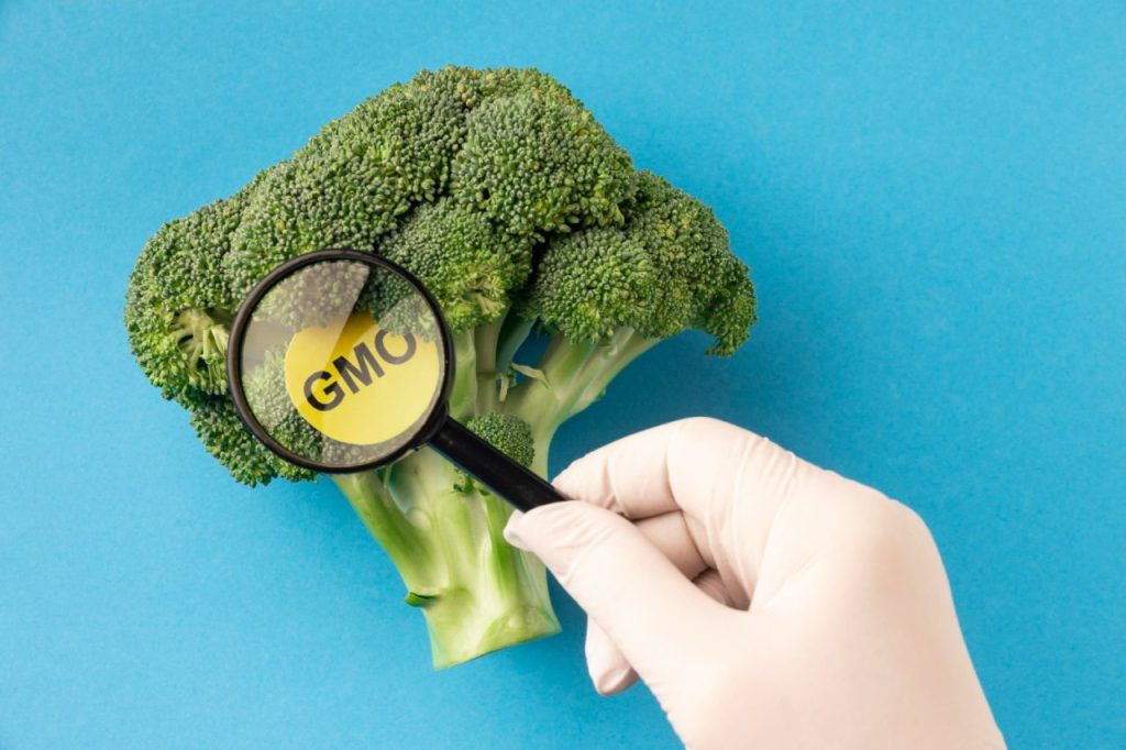 gmo 