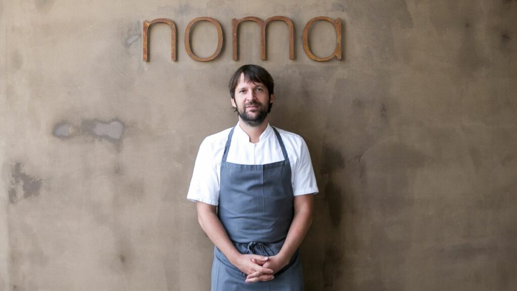 noma rene