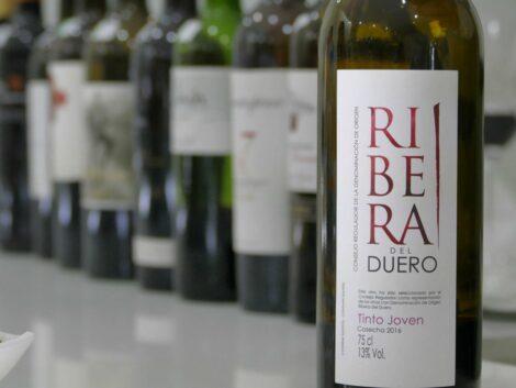 Špansko vino ribera