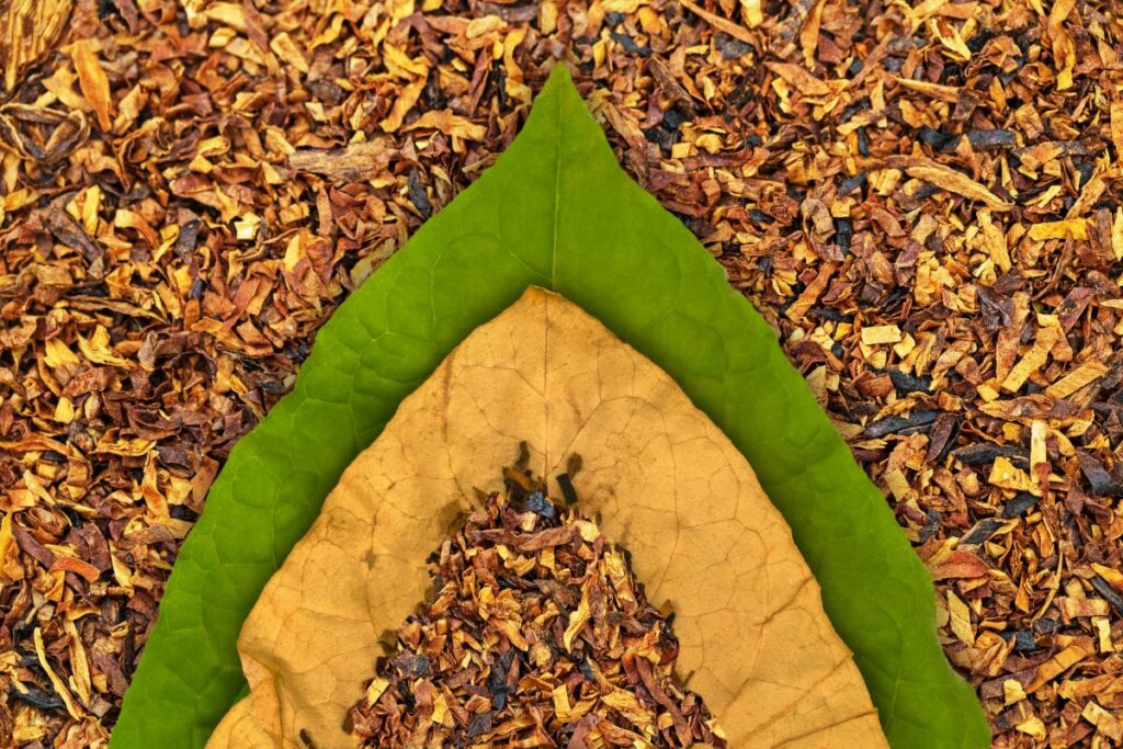 boja cigara