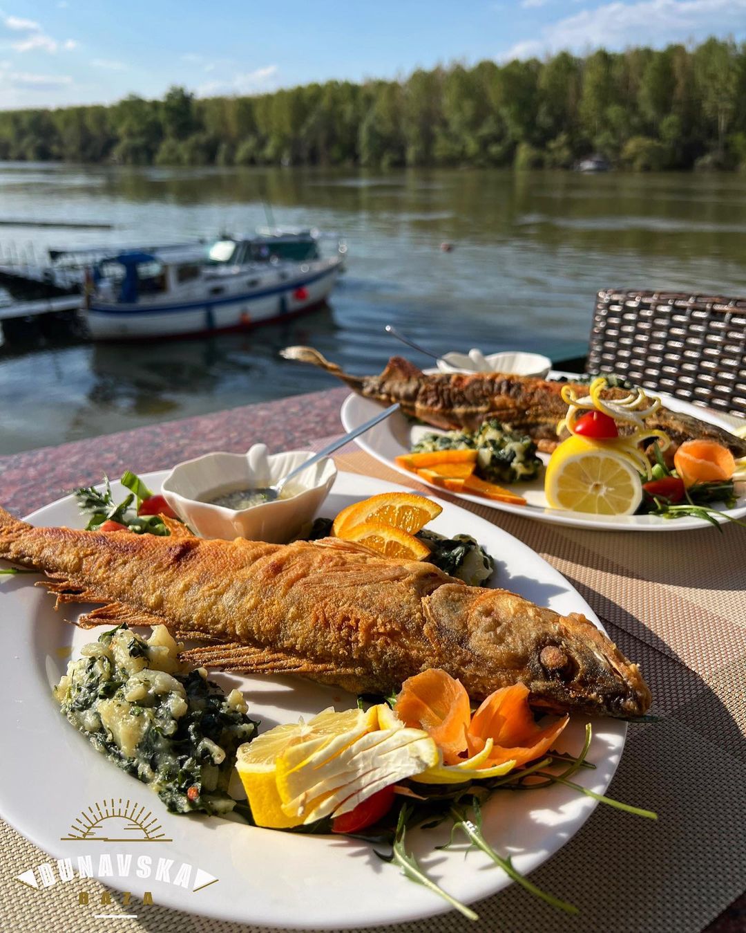 Gastronomski noviteti splava Viva na Dorćolu i Dunavske oaze u Grockoj