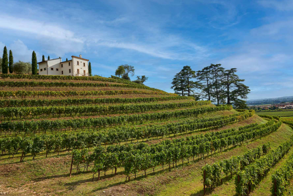 Tenuta Novare