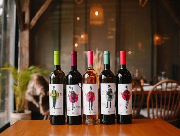 Grof Lederer vina vinarija Coka