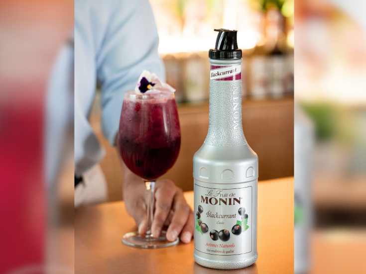 MONIN-Blackcurrant