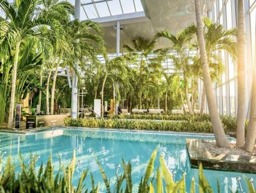 Terme Bukurest