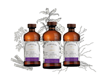 Paragon Monin