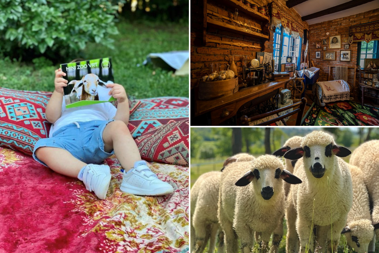 zornica kuca, zornica kuca sadrzaj za decu