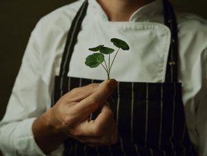 restoran dragoljub vanje puškara na novoj adresi