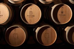 položena hrastova burad za vino tikveš, jer vinarija tikveš slavi 140 godina proizvodnje vina